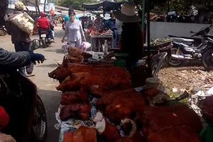 Hãi hùng với 'lộc sơn thần'!