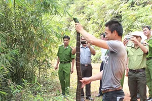 Phạm nhân bị hổ mang chúa cắn tử vong khi đi lao động