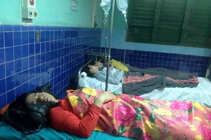 222 người ngộ độc vì bánh mì nhiễm trực khuẩn