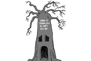 Trồng cây gì chết cây đó