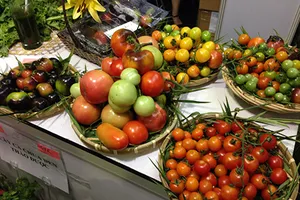 35 món hàng được miễn thuế toàn bộ