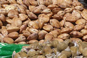 Chuyên gia 'bật mí' cách chế biến hải sản