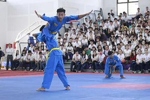 TP.HCM có thể tổ chức nhiều sự kiện võ thuật tầm cỡ