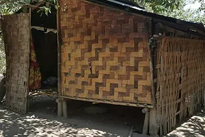 Cả gia đình 'người rừng' bỏ trốn vào rừng sâu