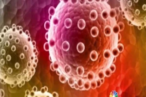 Xác minh ổ dịch virus Zika tại Trà Vinh