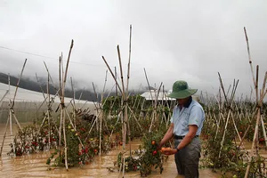  Lâm Đồng chới với khi thủy điện xả lũ