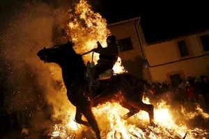 Những bức ảnh động vật ấn tượng nhất năm 2016