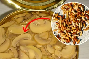 Những chất bảo quản độc hại không được ghi trên nhãn