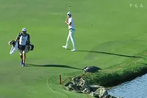 Nhầm tưởng cá sấu là… tảng đá, golf thủ hoảng hồn