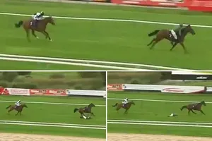 Hi hữu: Nữ VĐV ngã ngựa trên đường đua vì… ngựa