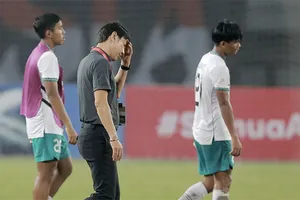 HLV Shin Tae-yong: ‘Việt Nam và Thái Lan sợ Indonesia’ 