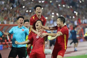 Thống kê: Việt Nam là quốc gia yêu bóng đá nhất châu Á