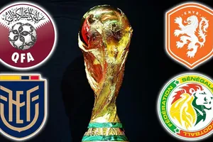 Tất cả thông tin về bảng A World Cup 2022: Mane vẫn góp mặt