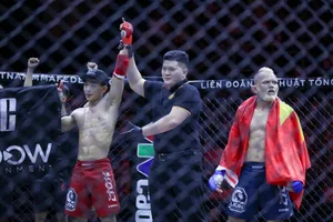 Vụ võ sĩ Brazil thua Trần Ngọc Lượng: Thừa nhận sai sót, tổ chức tái đấu, phạt 3 trọng tài