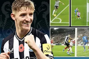 Mikel Arteta: ‘Xấu hổ, đáng hổ thẹn và nỗi ô nhục'