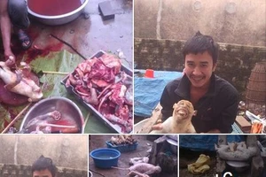 Không khởi tố hình sự vụ lên Facebook khoe ‘xẻ thịt, lột da’ khỉ 