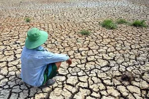 Ra mắt chương trình 'Canh tác thông minh'