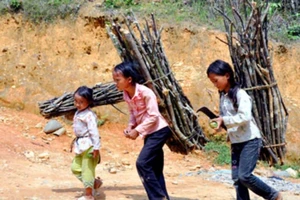 Biến đổi khí hậu khiến trẻ em mưu sinh trước tuổi