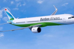 Phê duyệt chủ trương đầu tư Hãng hàng không Tre Việt