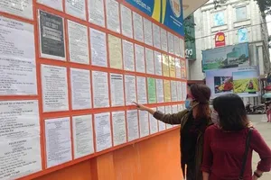 Nhu cầu việc làm Tết tăng cao, thu nhập 300.000 đồng/ngày 