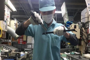  Chương trình mới lao động Việt nhận lương bằng người Nhật