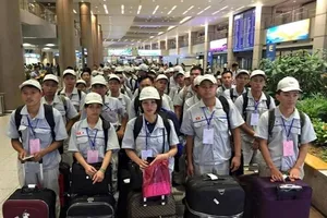 Mang sản phẩm làm từ thịt heo sang Hàn bị phạt 200 triệu