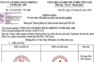 Vingroup bơm 1.300 tỉ lập hãng hàng không Vinpearl Air