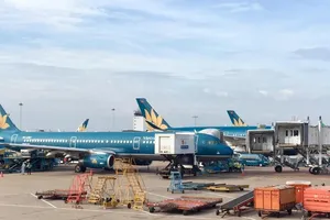 Liên tiếp các vụ va chạm với máy bay ở Tân Sơn Nhất