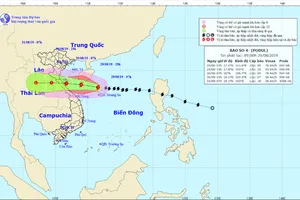 Yêu cầu sân bay Vinh, Đồng Hới dừng tiếp thu máy bay vì bão