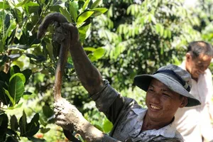 Nghỉ lễ 2-9, rủ nhau về miền Tây tát ao, lội sình bắt cá