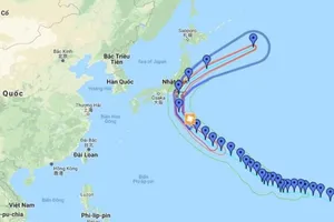 Lùi giờ hàng loạt chuyến bay giữa Nhật và Việt Nam