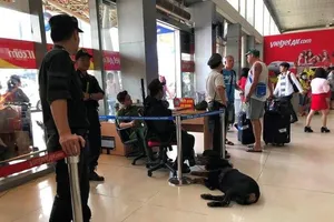 500 trường hợp vận chuyển vật nguy hiểm qua Tân Sơn Nhất