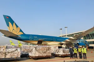 Hàng không Việt gia tăng chở hàng hóa để cải thiện doanh thu