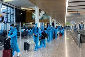 Mạo danh Vietnam Airlines mời mua vé về Việt Nam tránh dịch