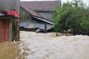 Quảng Bình: Nước chấm mái nhà, di chuyển dân ra trụ sở UBND xã