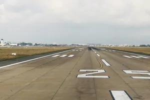 Lần đầu nhiều chim én xuất hiện trên đường băng Tân Sơn Nhất