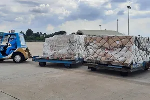  200.000 bộ xét nghiệm COVID-19 Đức viện trợ đã về TP.HCM