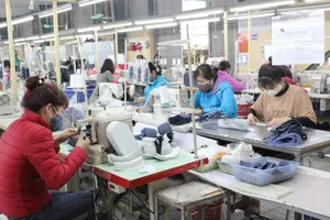 Nhiều công ty dệt may kín đơn hàng, muốn tuyển lao động