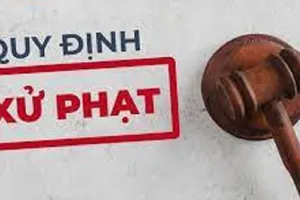 Bị cấm bay 12 tháng do sử dụng giấy tờ không hợp lệ