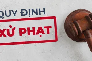 4 công ty xuất khẩu lao động bị phạt gần 600 triệu đồng