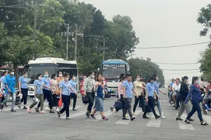 Thị trường tuyển dụng khá tích cực