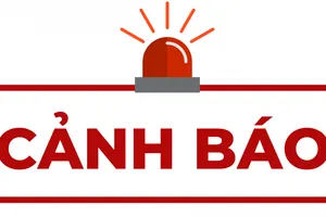 Cảnh báo 'cò' tuyển lao động sang Hàn Quốc làm nhà hàng