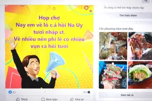 Bà Rịa-Vũng Tàu rà soát thu thuế người bán hàng online 
