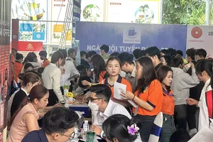 Tuyển dụng đìu hiu, nhân sự kế toán, kiểm toán chật vật tìm việc