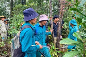 Tìm thấy người phụ nữ đi lạc trong rừng 3 ngày liền