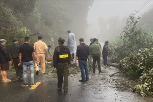 CSGT ứng trực xuyên đêm, dọn cây gãy đổ trên các tuyến đèo ở Lâm Đồng