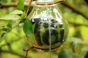 Bưởi khắc chữ nổi tiền triệu vẫn hút hàng