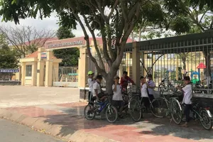 Bộ GD yêu cầu làm rõ vụ cô giáo quỳ xin lỗi phụ huynh