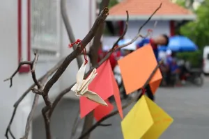 'Cây điều ước' chan chứa tình thương của cha mẹ với sĩ tử