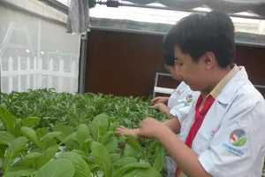 Sở GD TP.HCM yêu cầu các trường không tổ chức lớp chọn